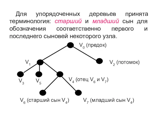 V3 V5 V1 Для упорядоченных деревьев принята терминология: старший и