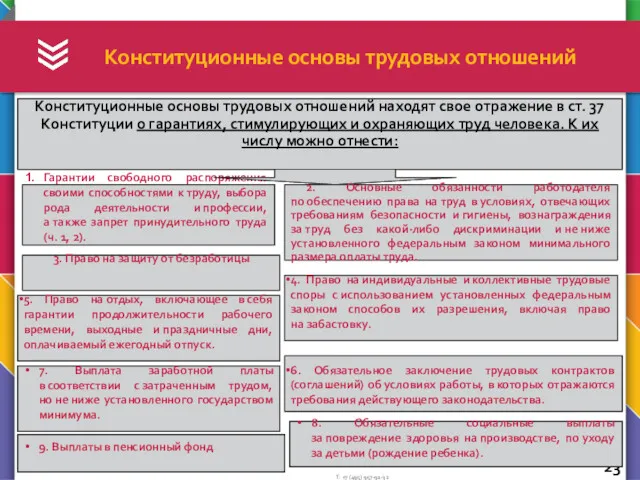 Конституционные основы трудовых отношений Конституционные основы трудовых отношений находят свое