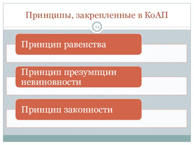 Принципы, закрепленные в КоАП