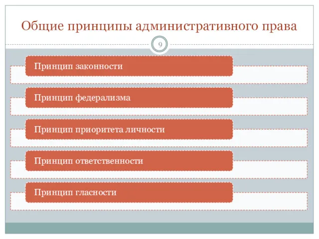 Общие принципы административного права