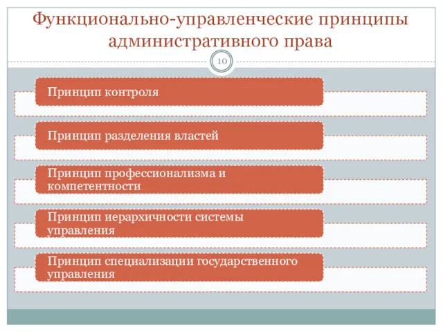 Функционально-управленческие принципы административного права