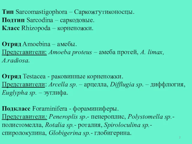 Тип Sarcomastigophora – Саркожгутиконосцы. Подтип Sarcodina – саркодовые. Класс Rhizopoda – корненожки. Отряд