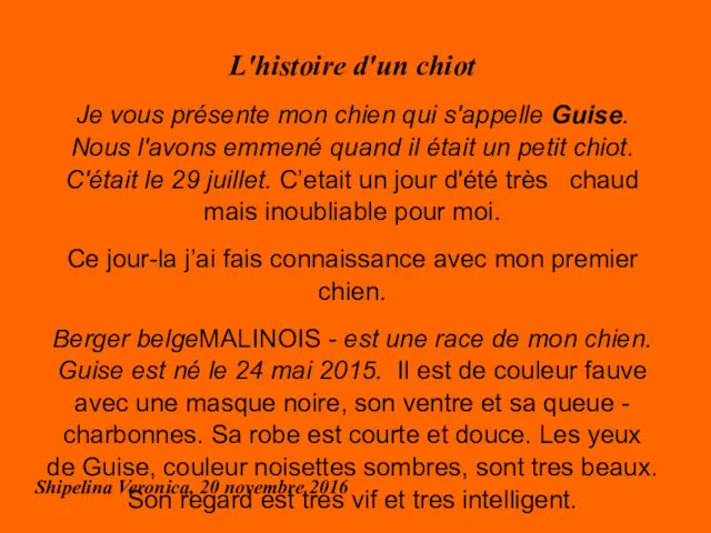 L'histoire d'un chiot Je vous présente mon chien qui s'appelle