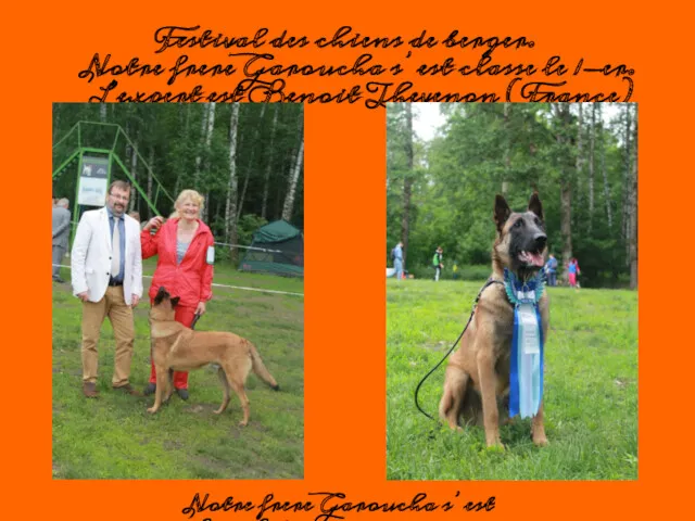 Festival des chiens de berger. Notre frere Garoucha s’est classe