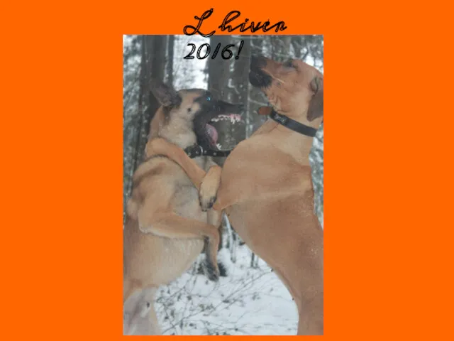 L’hiver 2016!