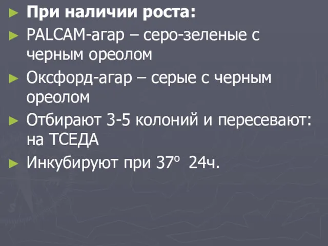 При наличии роста: PALCAM-агар – серо-зеленые с черным ореолом Оксфорд-агар