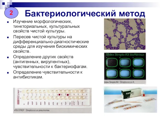 Бактериологический метод Изучение морфологических, тинкториальных, культуральных свойств чистой культуры. Пересев