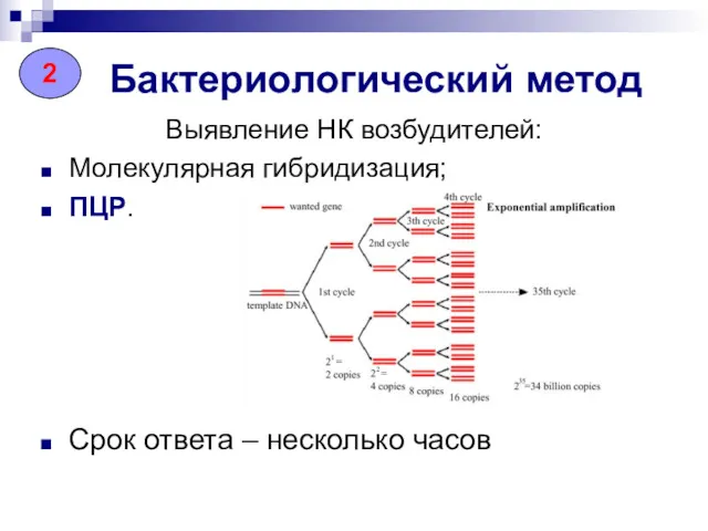 Бактериологический метод Выявление НК возбудителей: Молекулярная гибридизация; ПЦР. Срок ответа – несколько часов 2