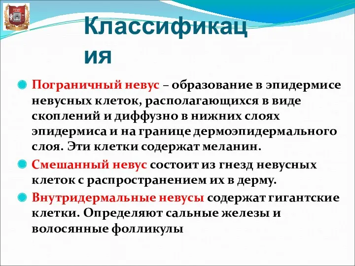 Классификация Пограничный невус – образование в эпидермисе невусных клеток, располагающихся