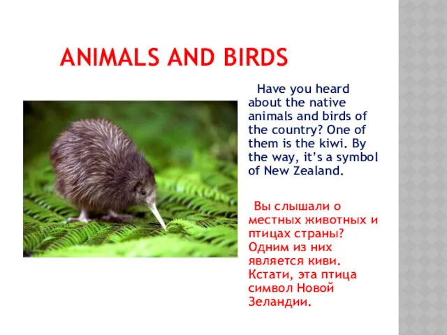 ANIMALS AND BIRDS Have you heard about the native animals