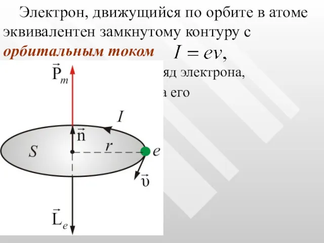 Электрон, движущийся по орбите в атоме эквивалентен замкнутому контуру с орбитальным током где