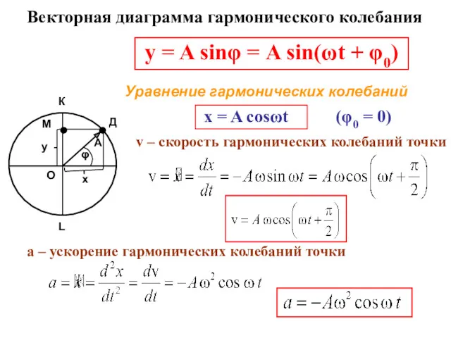 y = A sinφ = A sin(ωt + φ0) Уравнение