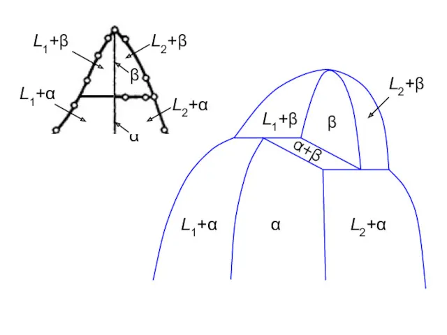 β α L1+β L1+α L2+α L2+β α+β