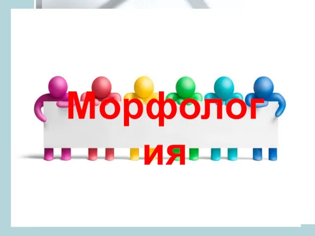 Морфология