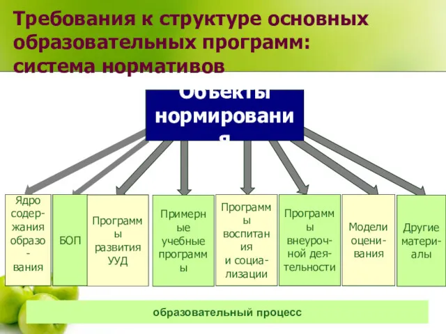 Объекты нормирования БОП Программы развития УУД Примерные учебные программы Модели