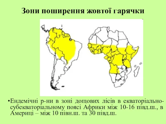 Зони поширення жовтої гарячки Ендемічні р-ни в зоні дощових лісів