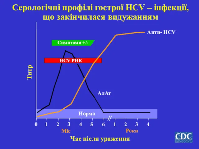 Серологічні профілі гострої HCV – інфекції, що закінчилася видужанням Симптоми