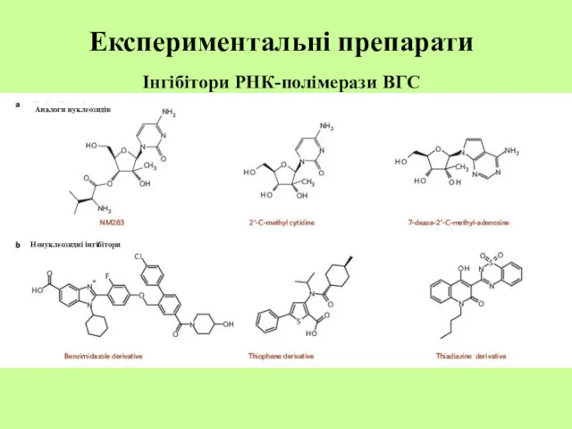 Інгібітори РНК-полімерази ВГС Аналоги нуклеозидів Ненуклеозидні інгібітори Експериментальні препарати