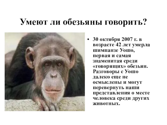 Умеют ли обезьяны говорить? 30 октября 2007 г. в возрасте 42 лет умерла