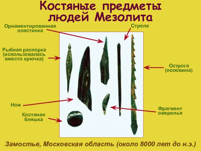 Костяные предметы людей Мезолита Замостье, Московская область (около 8000 лет