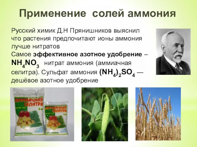 Применение солей аммония Русский химик Д.Н Прянишников выяснил что растения