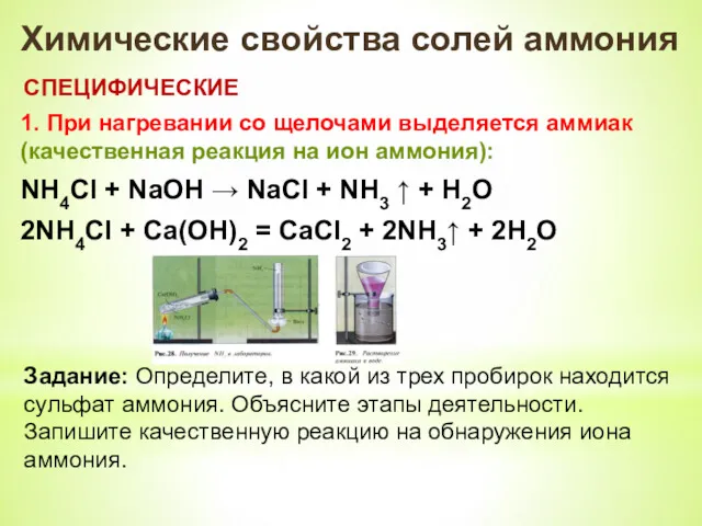 Химические свойства солей аммония СПЕЦИФИЧЕСКИЕ 1. При нагревании со щелочами