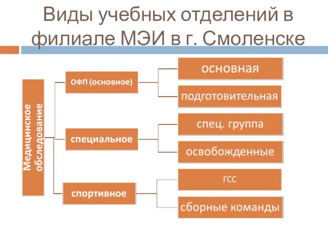 Виды учебных отделений в филиале МЭИ в г. Смоленске