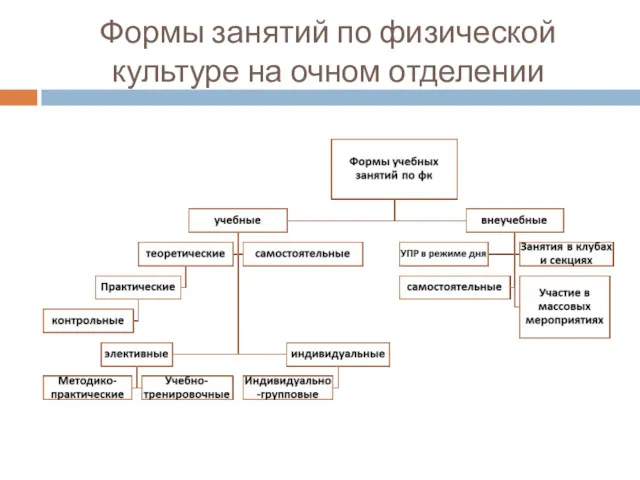 Формы занятий по физической культуре на очном отделении