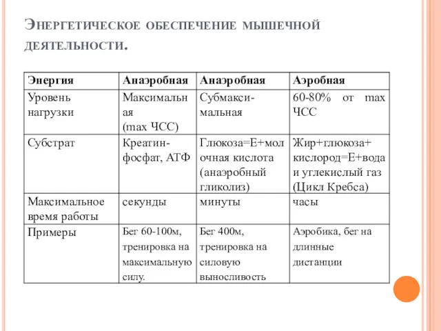 Энергетическое обеспечение мышечной деятельности.