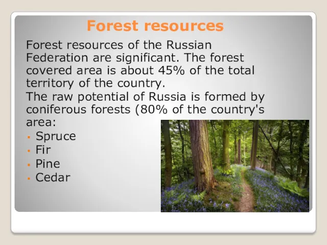 Forest resources Forest resources of the Russian Federation are significant.