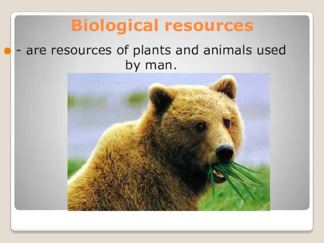 Biological resources - are resources of plants and animals used by man.