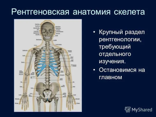 Рентгеновский аппарат передвижной