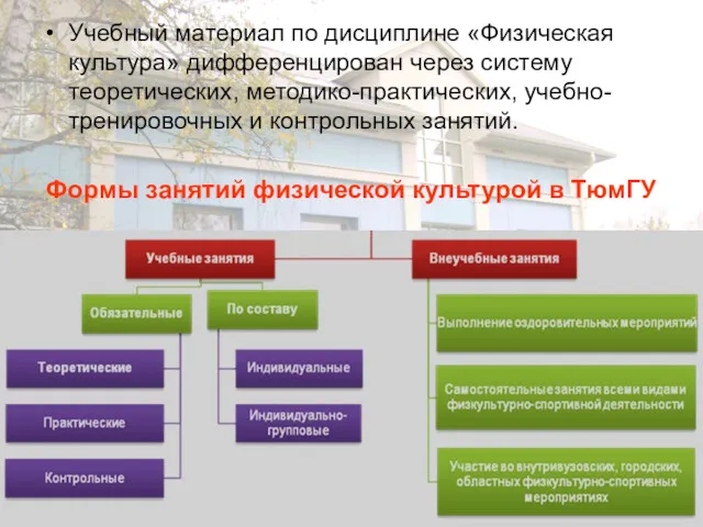 Учебный материал по дисциплине «Физическая культура» дифференцирован через систему теоретических,