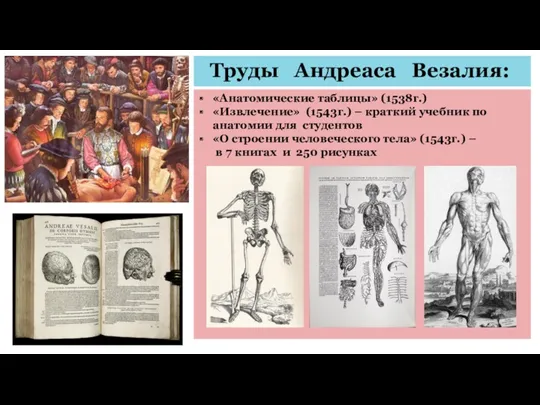 Труды Андреаса Везалия: «Анатомические таблицы» (1538г.) «Извлечение» (1543г.) – краткий учебник по анатомии