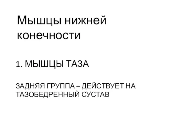 1. МЫШЦЫ ТАЗА ЗАДНЯЯ ГРУППА – ДЕЙСТВУЕТ НА ТАЗОБЕДРЕННЫЙ СУСТАВ Мышцы нижней конечности