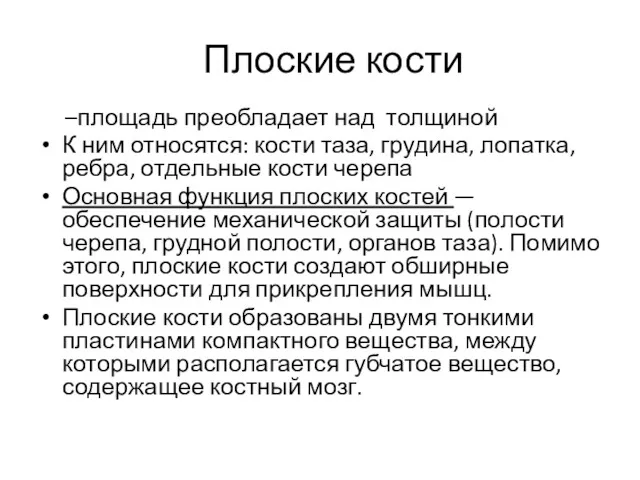 Плоские кости –площадь преобладает над толщиной К ним относятся: кости