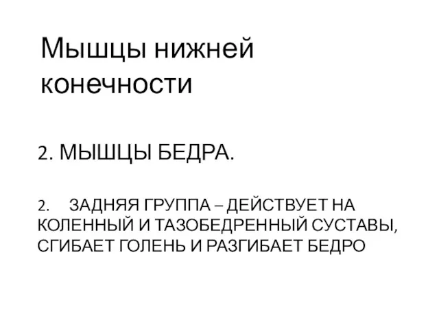 2. МЫШЦЫ БЕДРА. 2. ЗАДНЯЯ ГРУППА – ДЕЙСТВУЕТ НА КОЛЕННЫЙ