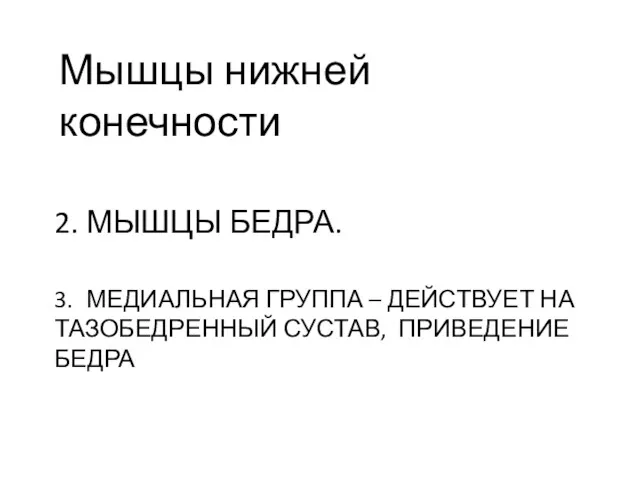 2. МЫШЦЫ БЕДРА. 3. МЕДИАЛЬНАЯ ГРУППА – ДЕЙСТВУЕТ НА ТАЗОБЕДРЕННЫЙ СУСТАВ, ПРИВЕДЕНИЕ БЕДРА Мышцы нижней конечности