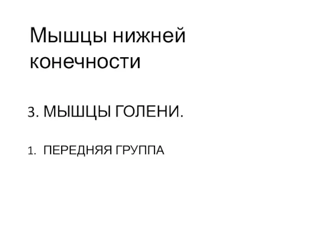 3. МЫШЦЫ ГОЛЕНИ. 1. ПЕРЕДНЯЯ ГРУППА Мышцы нижней конечности