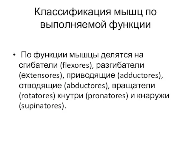 Классификация мышц по выполняемой функции По функции мышцы делятся на