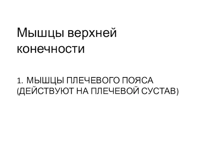 1. МЫШЦЫ ПЛЕЧЕВОГО ПОЯСА (ДЕЙСТВУЮТ НА ПЛЕЧЕВОЙ СУСТАВ) Мышцы верхней конечности