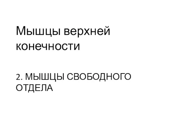 2. МЫШЦЫ СВОБОДНОГО ОТДЕЛА Мышцы верхней конечности