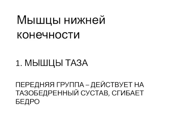 1. МЫШЦЫ ТАЗА ПЕРЕДНЯЯ ГРУППА – ДЕЙСТВУЕТ НА ТАЗОБЕДРЕННЫЙ СУСТАВ, СГИБАЕТ БЕДРО Мышцы нижней конечности