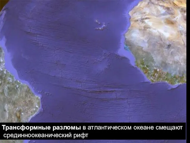 геологи-лекция-6-2014 Трансформные разломы в атлантическом океане смещают срединноокеанический рифт