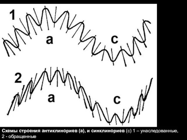 геологи-лекция-12-2013 Схемы строения антиклинориев (а), и синклинориев (с) 1 – унаследованные, 2 - обращенные
