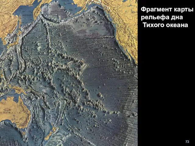 геологи-лекция-12-2013 Фрагмент карты рельефа дна Тихого океана