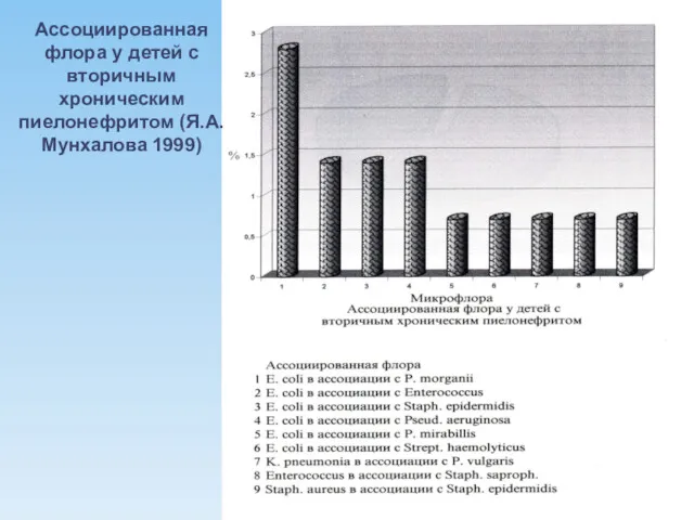 Ассоциированная флора у детей с вторичным хроническим пиелонефритом (Я.А.Мунхалова 1999)