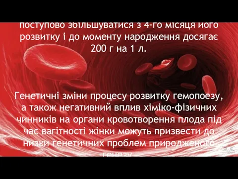 Вміст гемоглобіну в крові плода починає поступово збільшуватися з 4-го місяця його розвитку