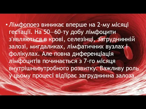 Лімфопоез виникає вперше на 2-му місяці гестації. На 50—60-ту добу