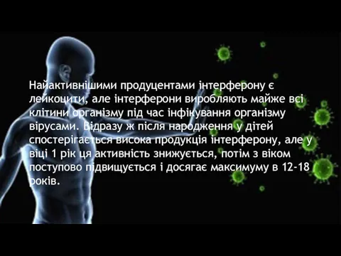 Найактивнішими продуцентами інтерферону є лейкоцити, але ін­терферони виробляють майже всі клітини організму під